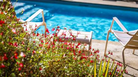 Auberge Bressane de Buellas · Hôtel Restaurant Ain piscine