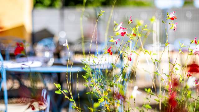 L’Auberge Bressane de Buellas in the Ain